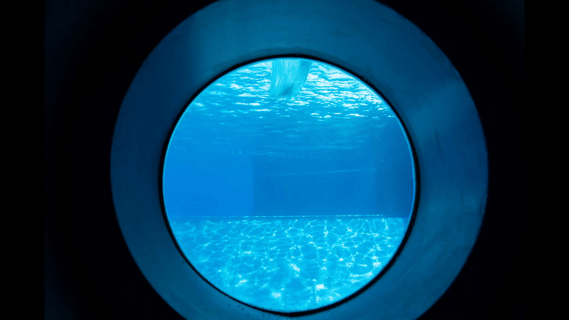 Unbenannter Beitrag 492